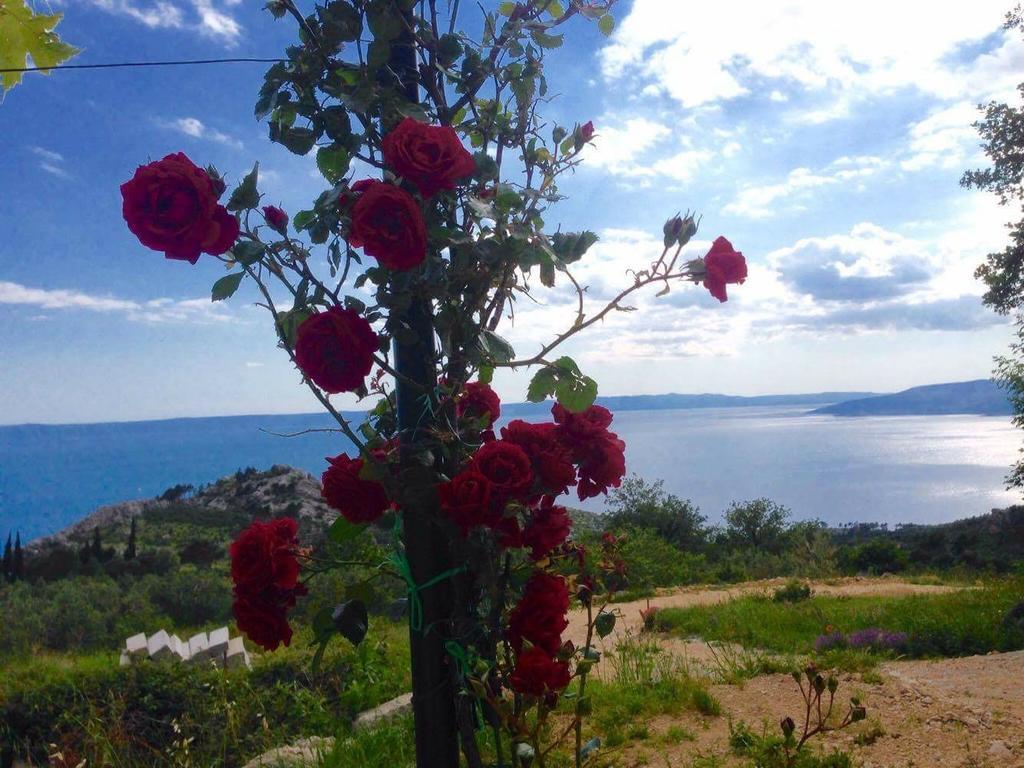 Apartments Aman Makarska Eksteriør bilde